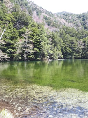 20190512_102519.jpg