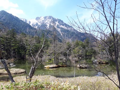 20190512_102750.jpg