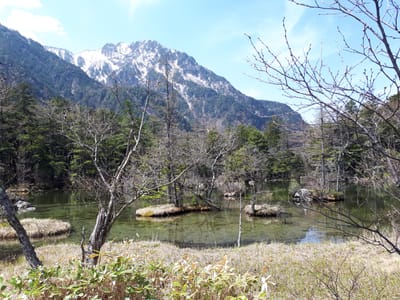 20190512_102758.jpg