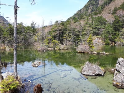 20190512_103001.jpg