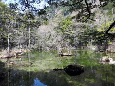 20190512_103237.jpg