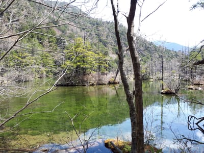 20190512_103329.jpg