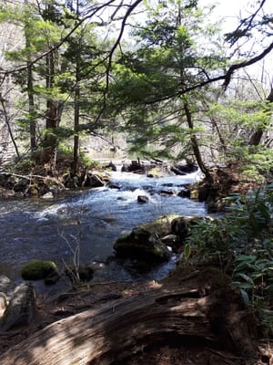 20190512_103418.jpg