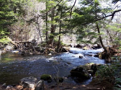 20190512_103426.jpg