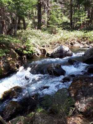 20190512_103515.jpg