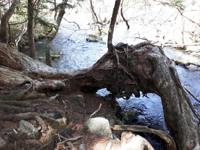 20190512_103751.jpg