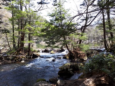 20190512_103854.jpg