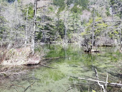 20190512_104021.jpg