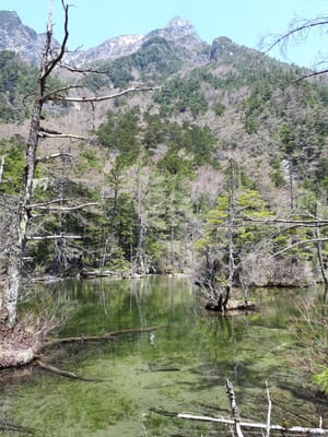 20190512_104025.jpg