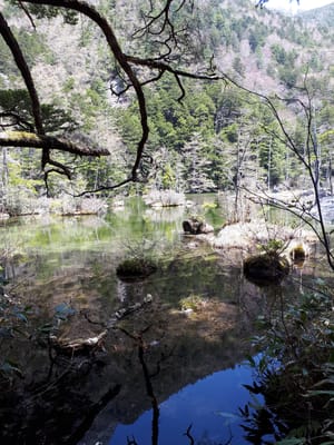 20190512_104142.jpg