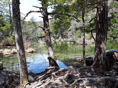 20190512_104252.jpg