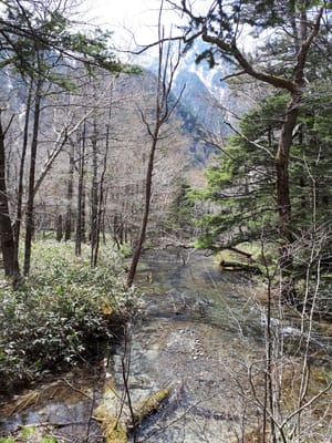 20190512_112318.jpg