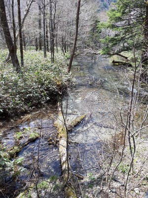 20190512_112326.jpg