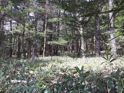 20190512_112402.jpg
