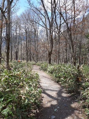 20190512_113417.jpg