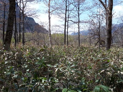 20190512_113948.jpg