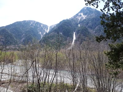20190512_114110.jpg
