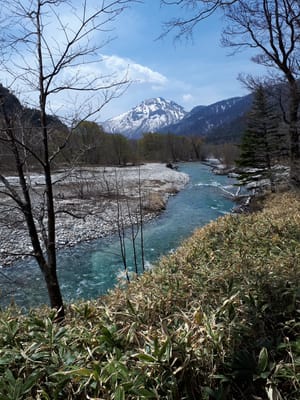 20190512_114458.jpg