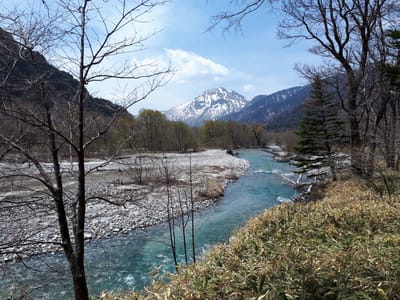 20190512_114503.jpg