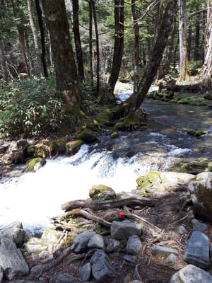 20190512_115057.jpg