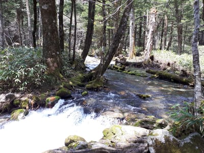 20190512_115107.jpg