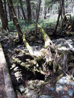 20190512_115338.jpg
