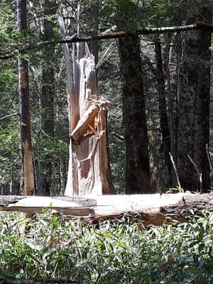 20190512_115359.jpg