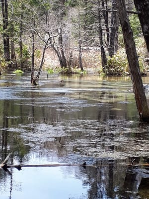 20190512_115826.jpg