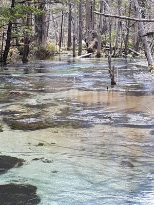 20190512_115917.jpg