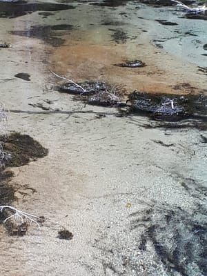 20190512_115933.jpg