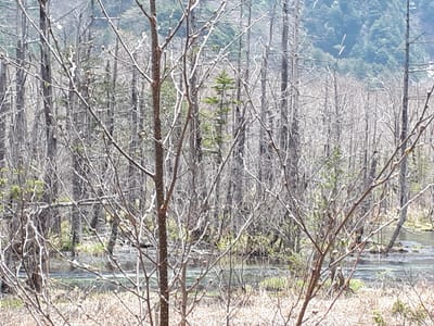 20190512_120033.jpg