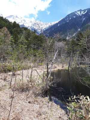 20190512_120606.jpg