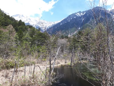 20190512_120611.jpg