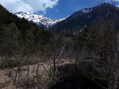 20190512_120618.jpg