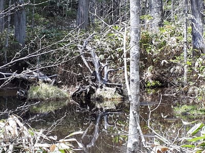 20190512_120840.jpg