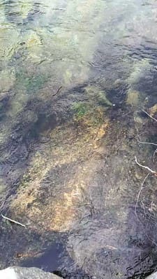 20190512_122223.mp4