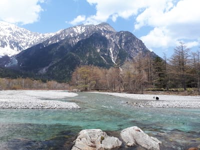 20190512_122238.jpg