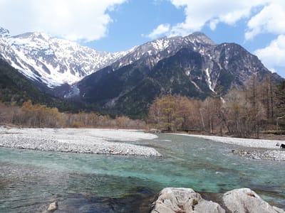 20190512_122243.jpg