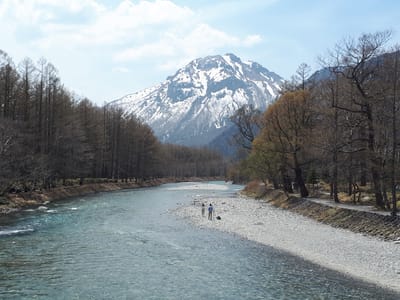 20190512_123019.jpg