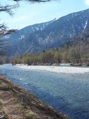 20190512_123435.jpg