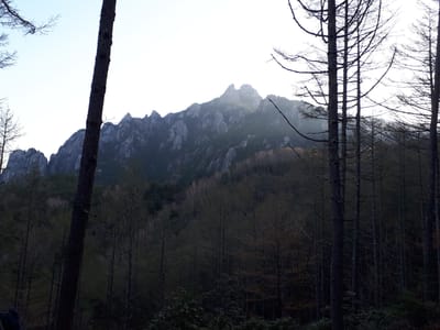 20190513_055259.jpg