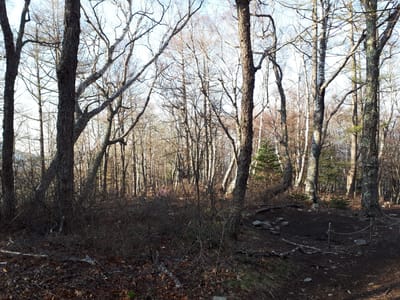 20190513_063257.jpg