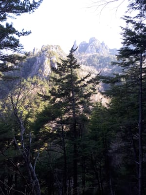 20190513_065102.jpg