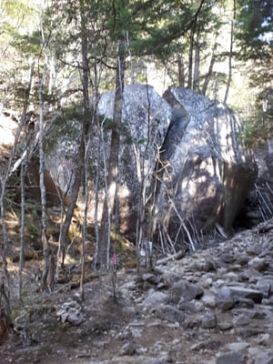 20190513_070451.jpg