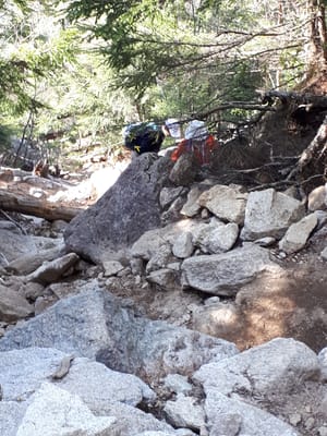 20190513_081027.jpg