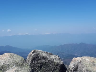 20190513_090229.jpg