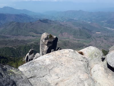20190513_091015.jpg