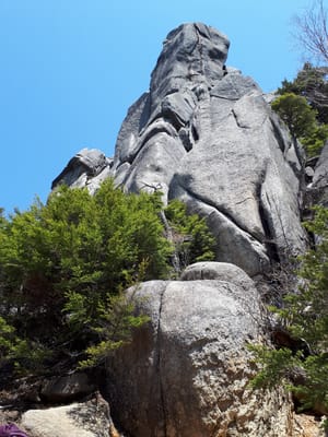 20190513_100958.jpg