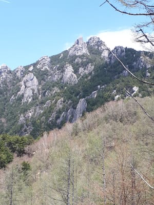 20190513_120248.jpg