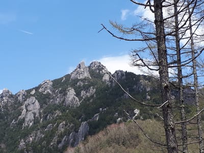 20190513_120252.jpg